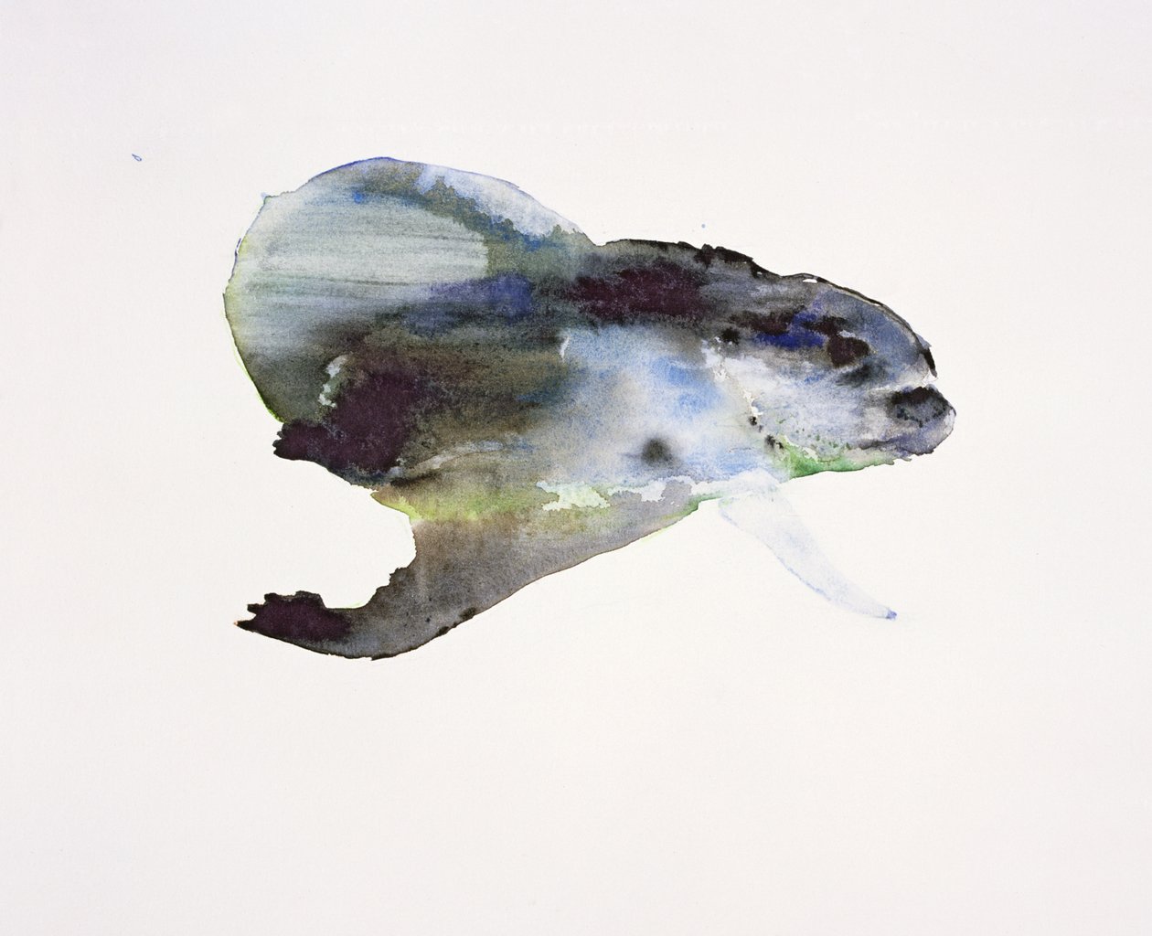 Onderwater door Mark Adlington