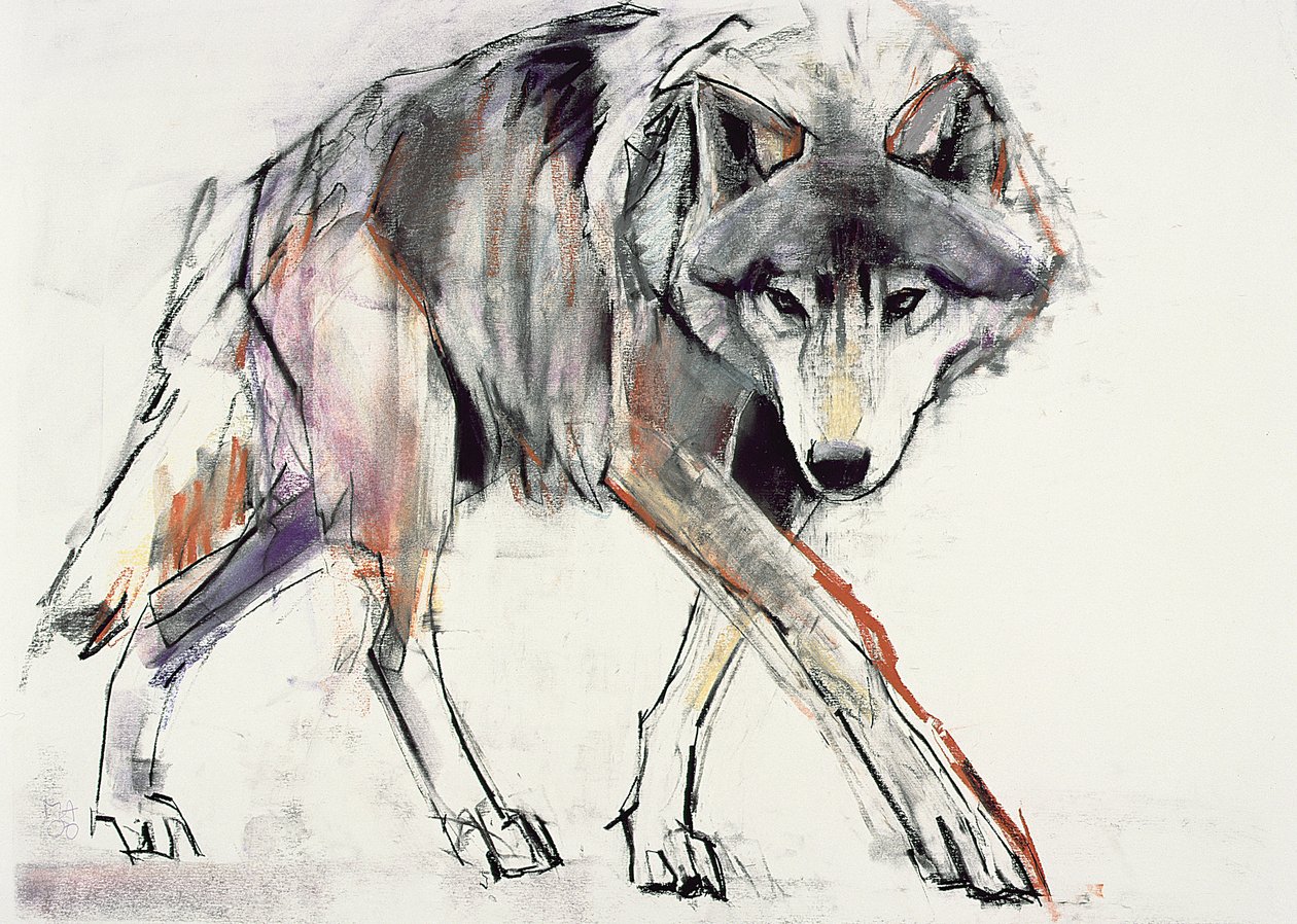 Wolf door Mark Adlington
