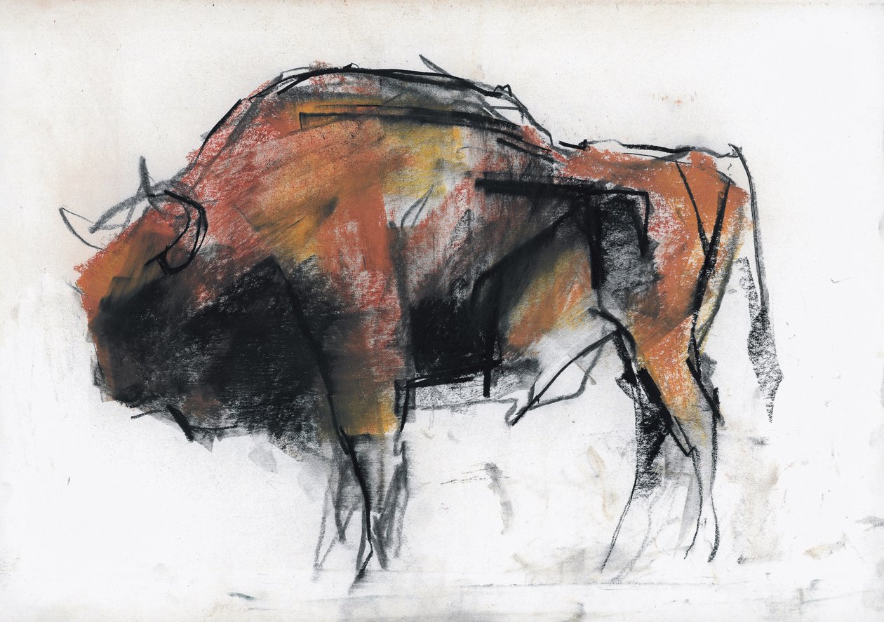 Zubre, Bialowieza door Mark Adlington
