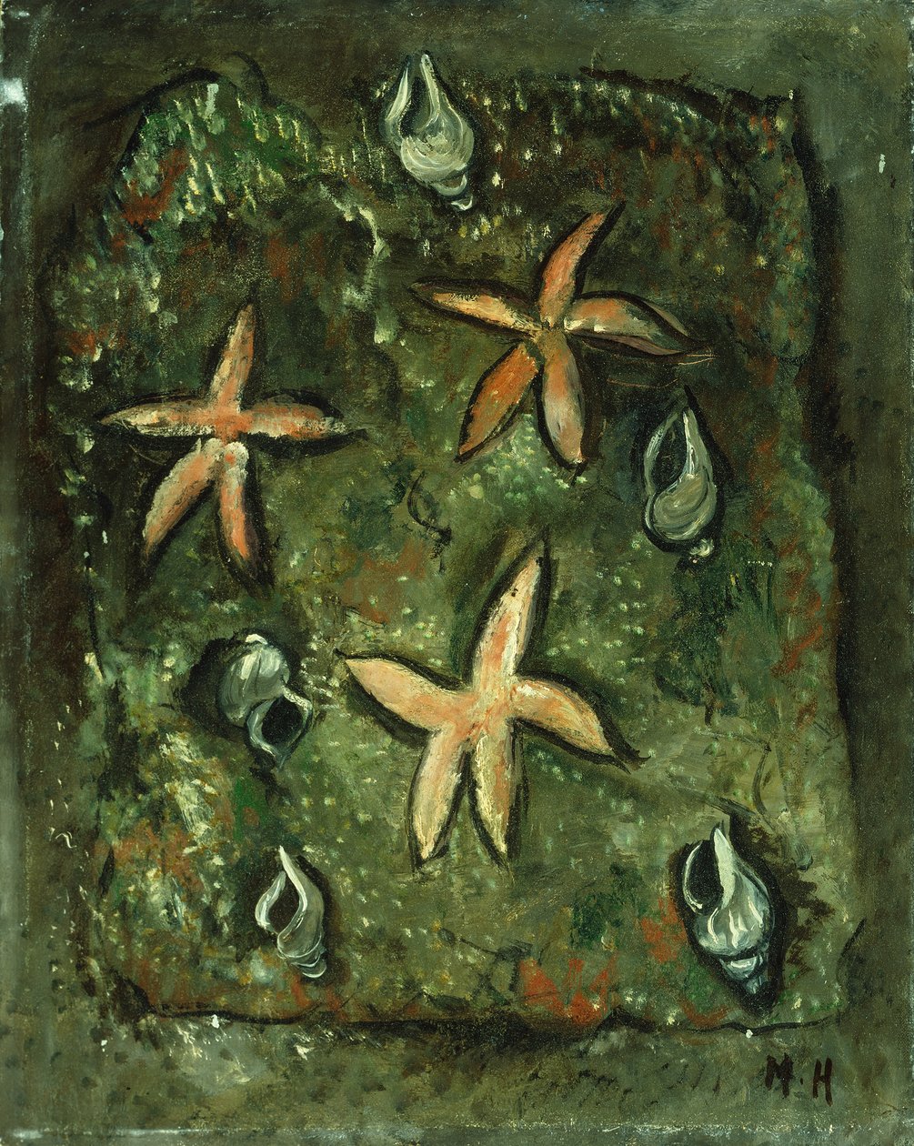 Zeesterren en Schelpen door Marsden Hartley