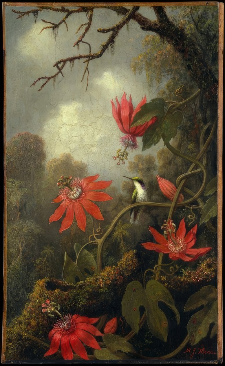 Kolibrie en passiebloemen door Martin Johnson Heade