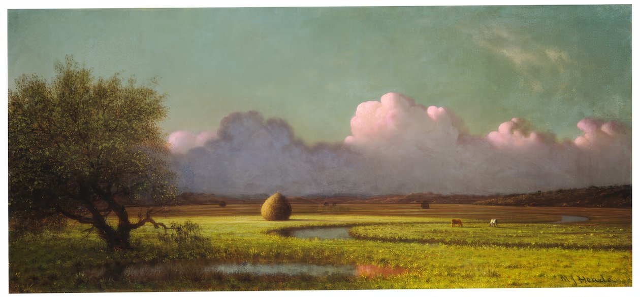 Zonlicht en schaduw: De Newbury-moerassen door Martin Johnson Heade