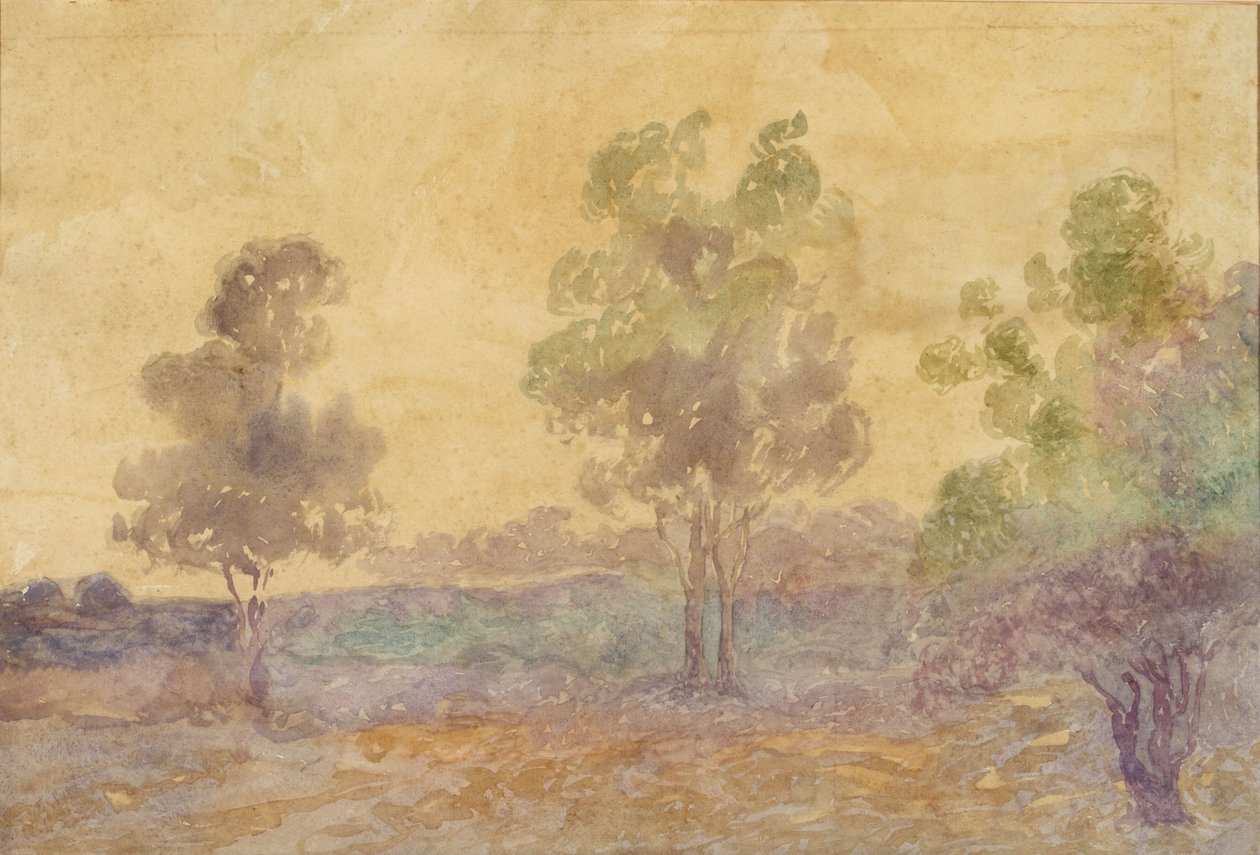 Landschap bij zonsondergang door Martín Malharro