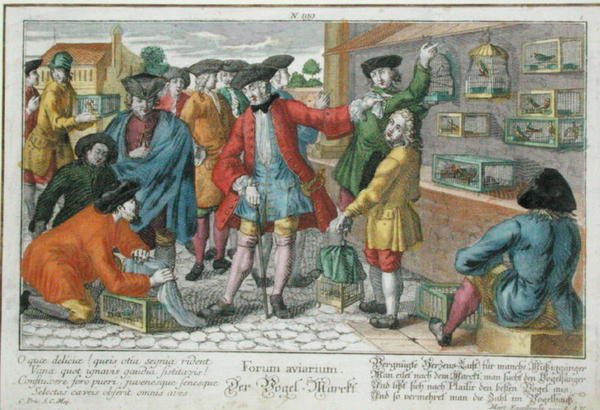 Vogelmarkt door Martin Engelbrecht