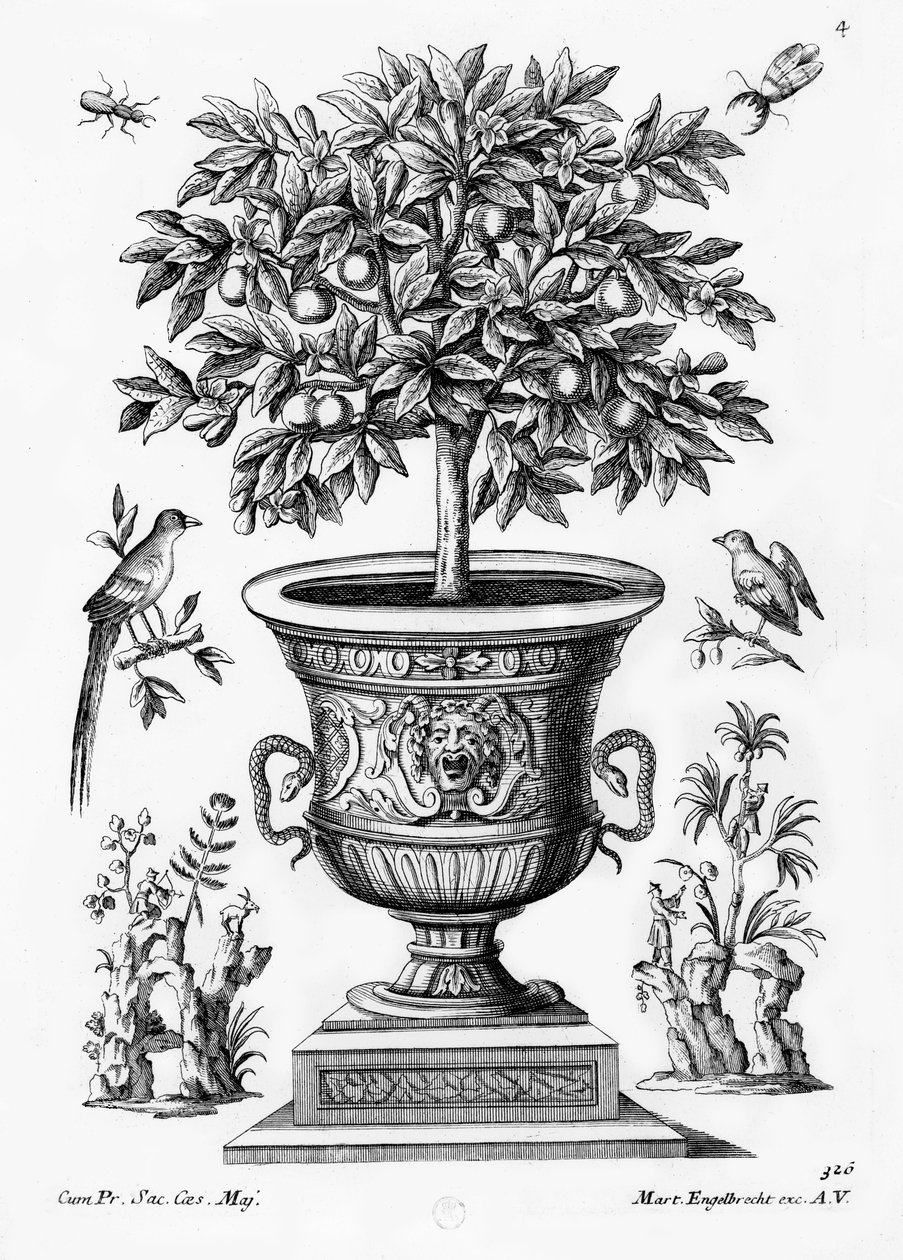 Citrusbomen, ca. 1735 door Martin Engelbrecht
