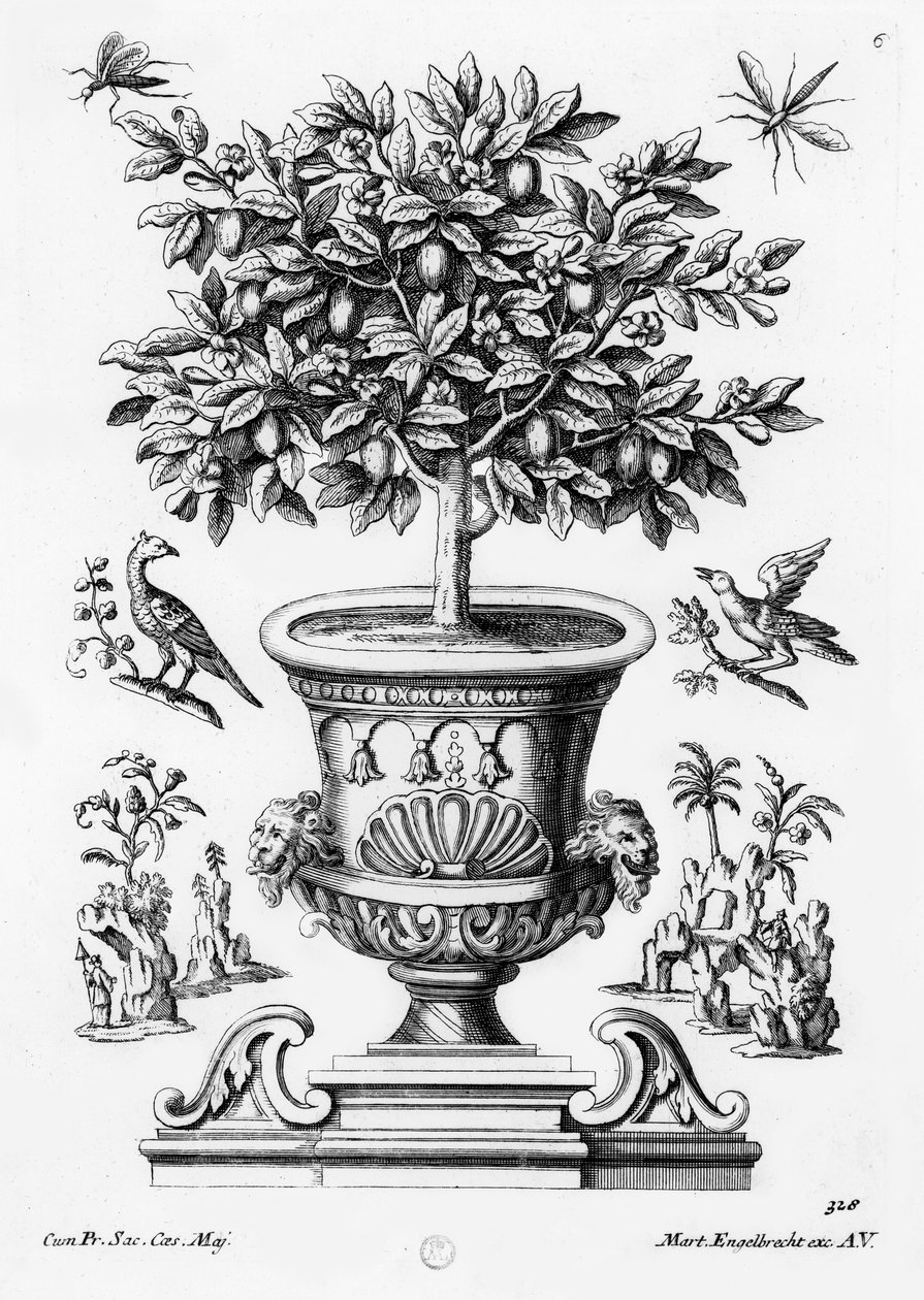 Citrusbomen, ca. 1735 door Martin Engelbrecht