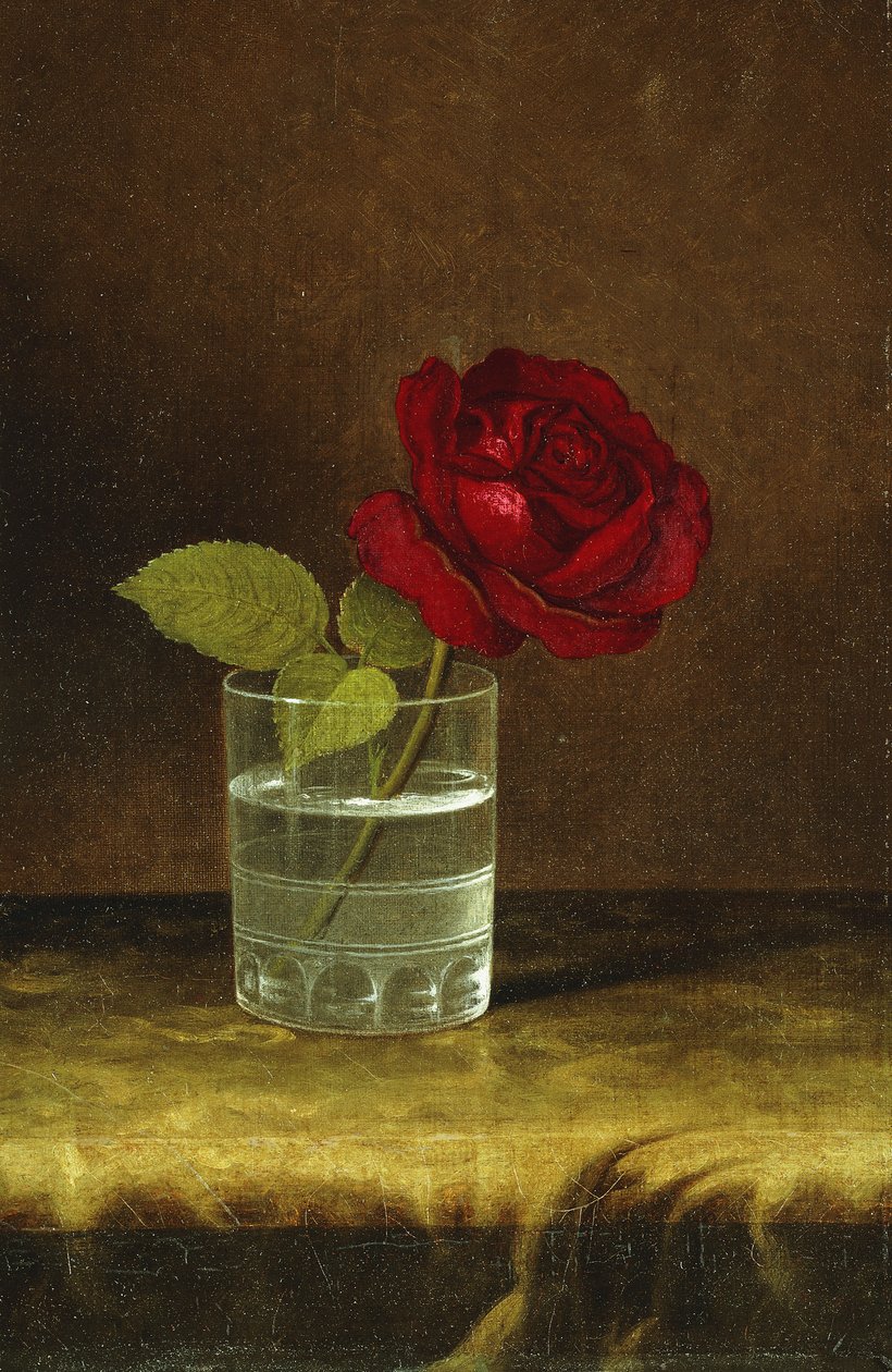 Een Rode Roos door Martin Johnson Heade
