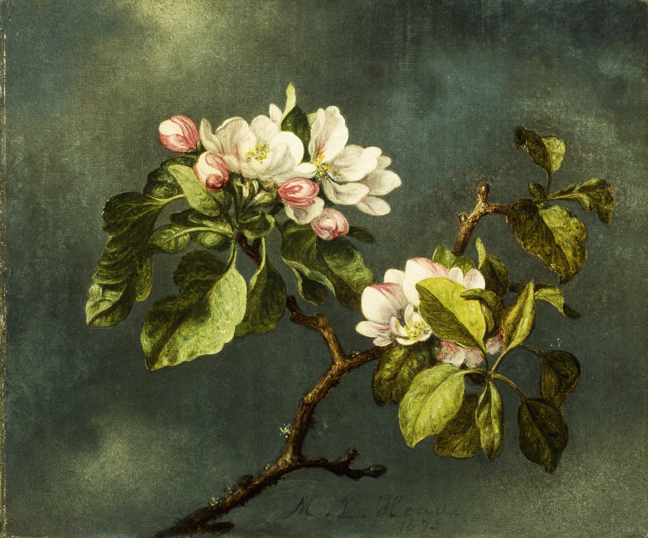 Appelbloesems door Martin Johnson Heade