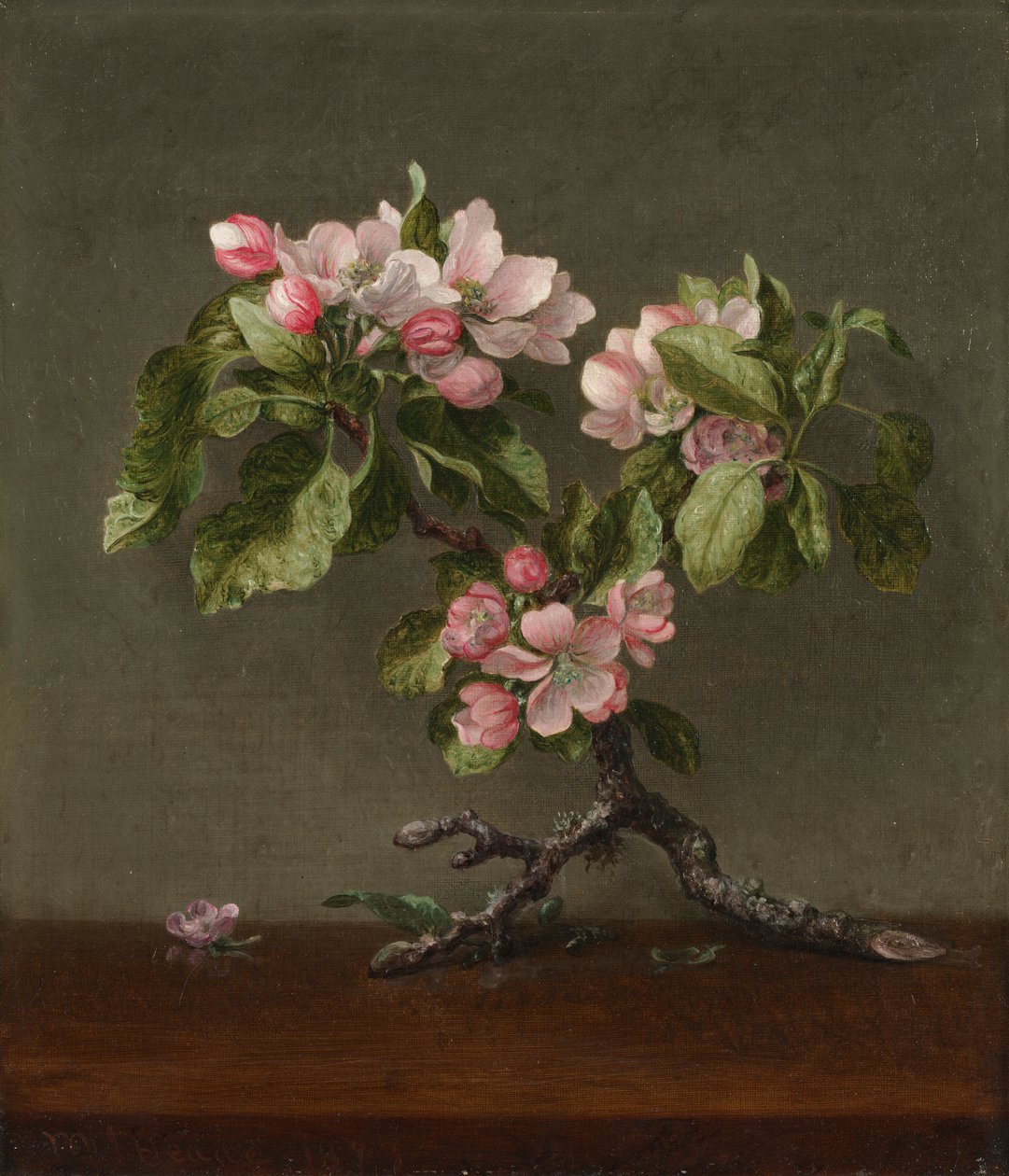 Appelbloesems, 1873 door Martin Johnson Heade