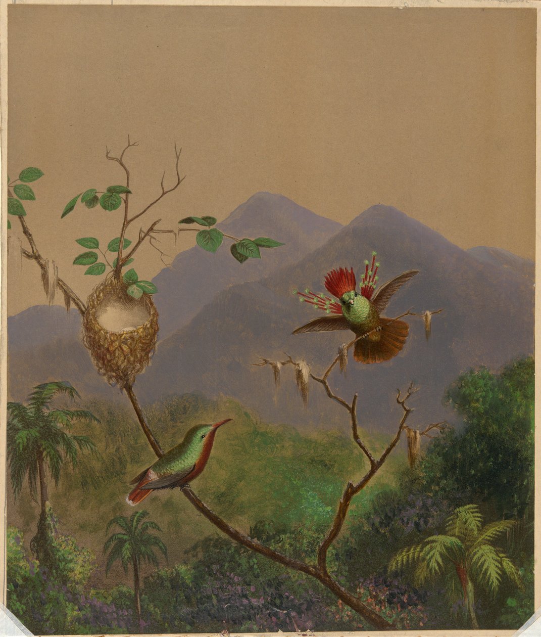 Braziliaanse kolibries III door Martin Johnson Heade