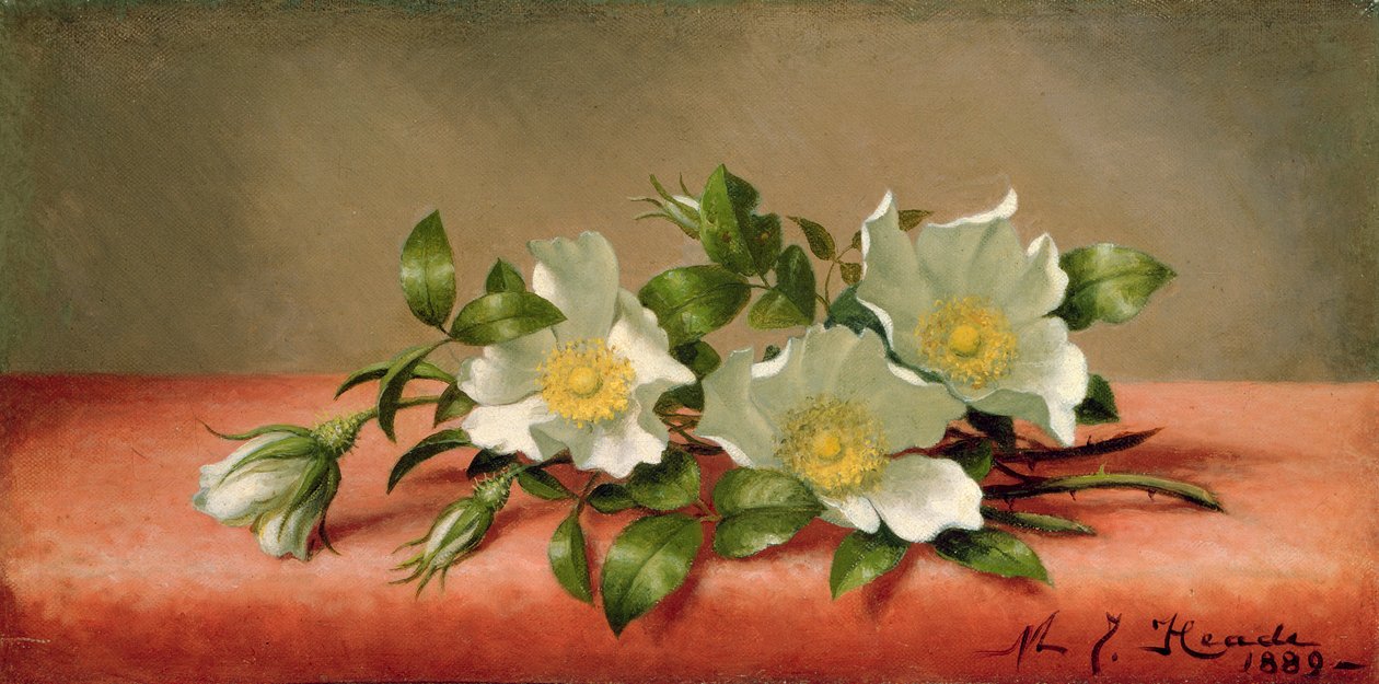 Cherokee Rozen, 1889 door Martin Johnson Heade