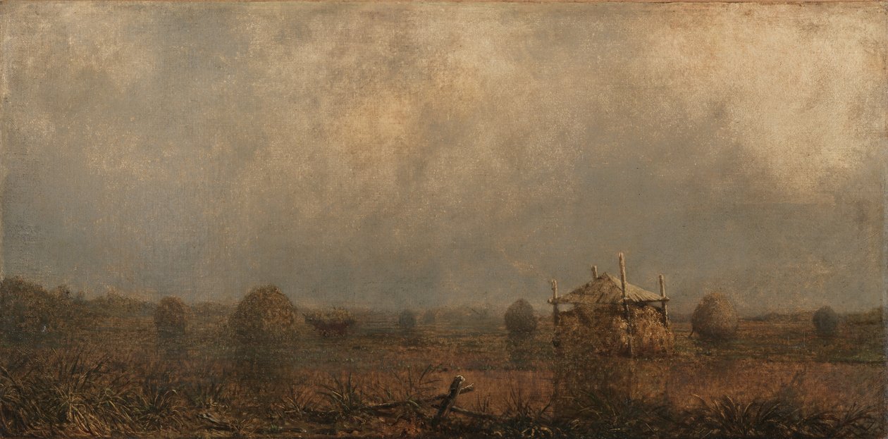 Vloed op de moerassen door Martin Johnson Heade