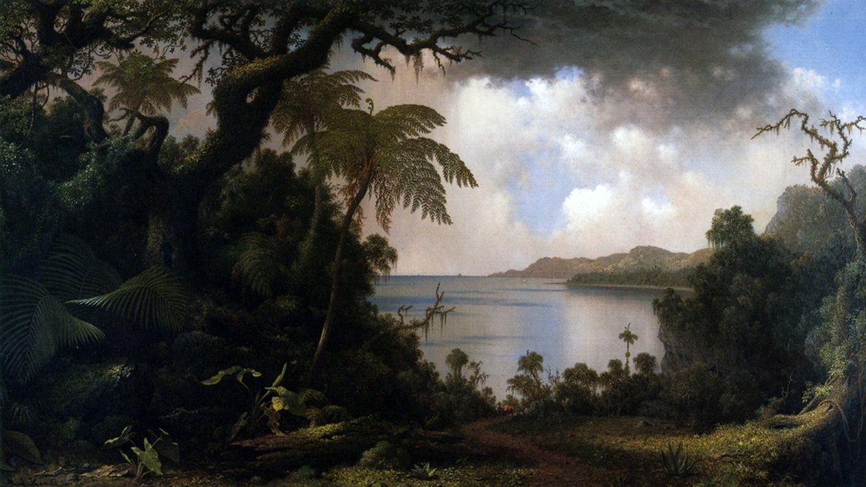 Jamaica, Uitzicht vanaf Fern-Tree Walk door Martin Johnson Heade