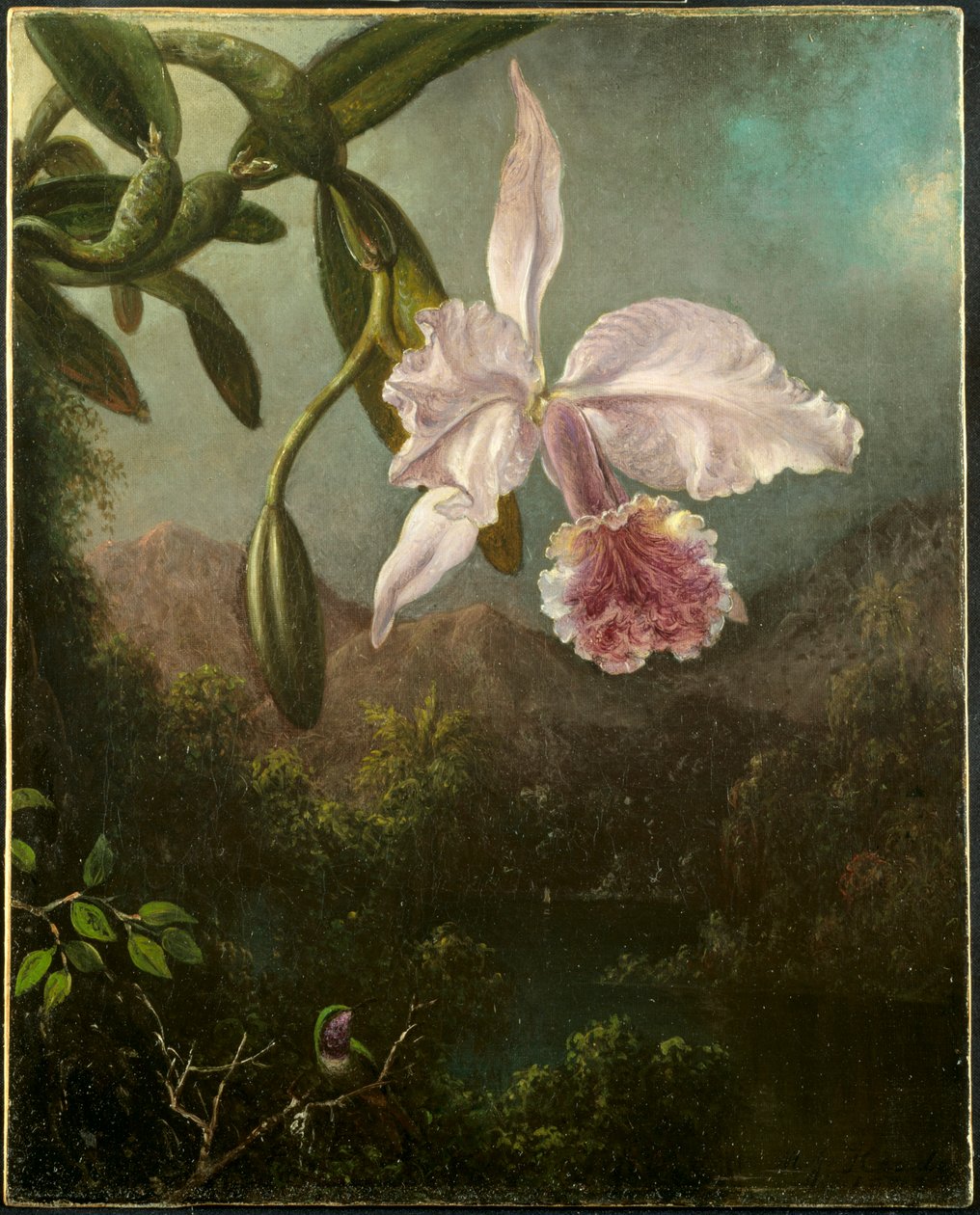 Orchideeënbloesems, 1873 door Martin Johnson Heade