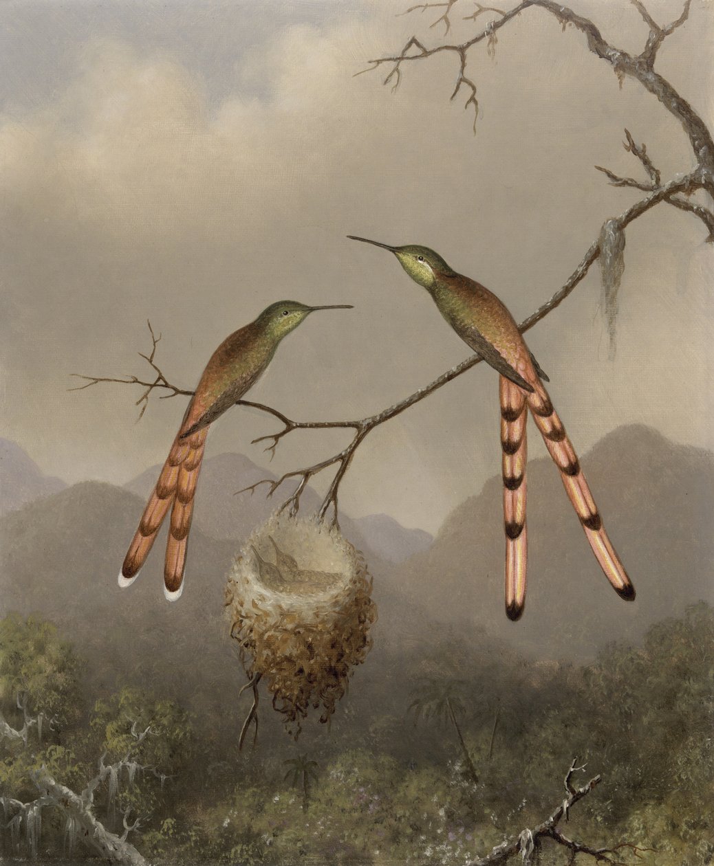 Twee Kolibries met Hun Jong door Martin Johnson Heade