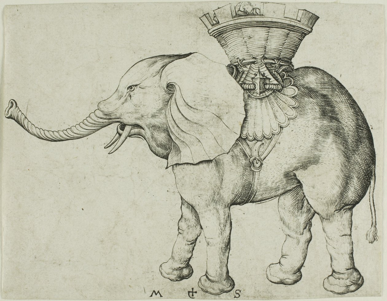 De olifant door Martin Schongauer