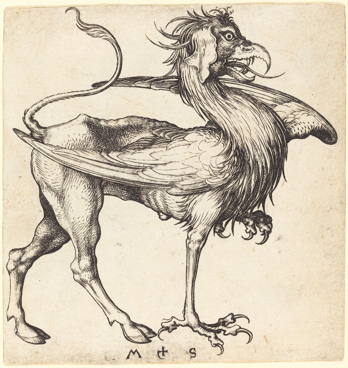De Griffioen door Martin Schongauer