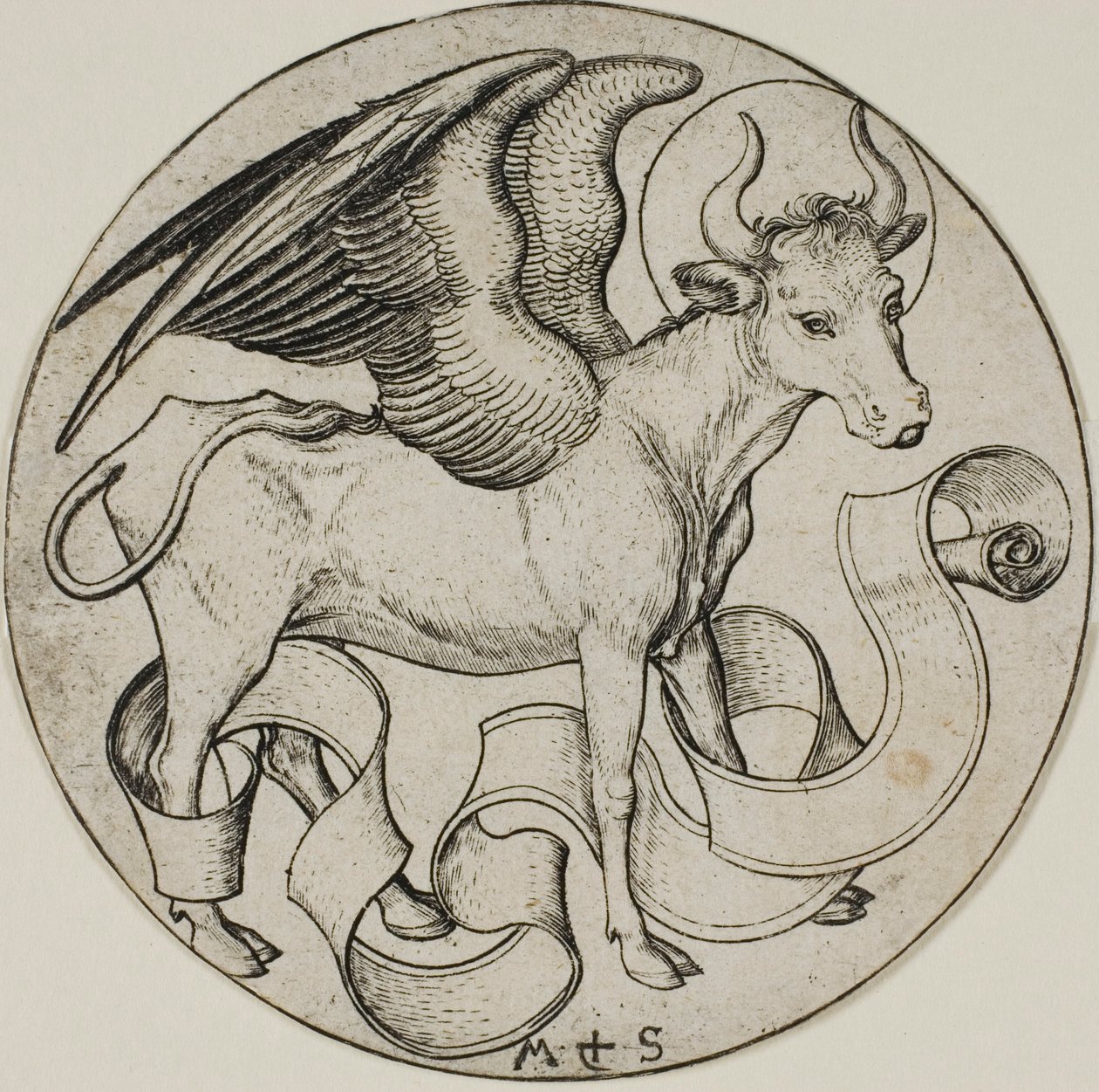 De os van Sint Lucas door Martin Schongauer