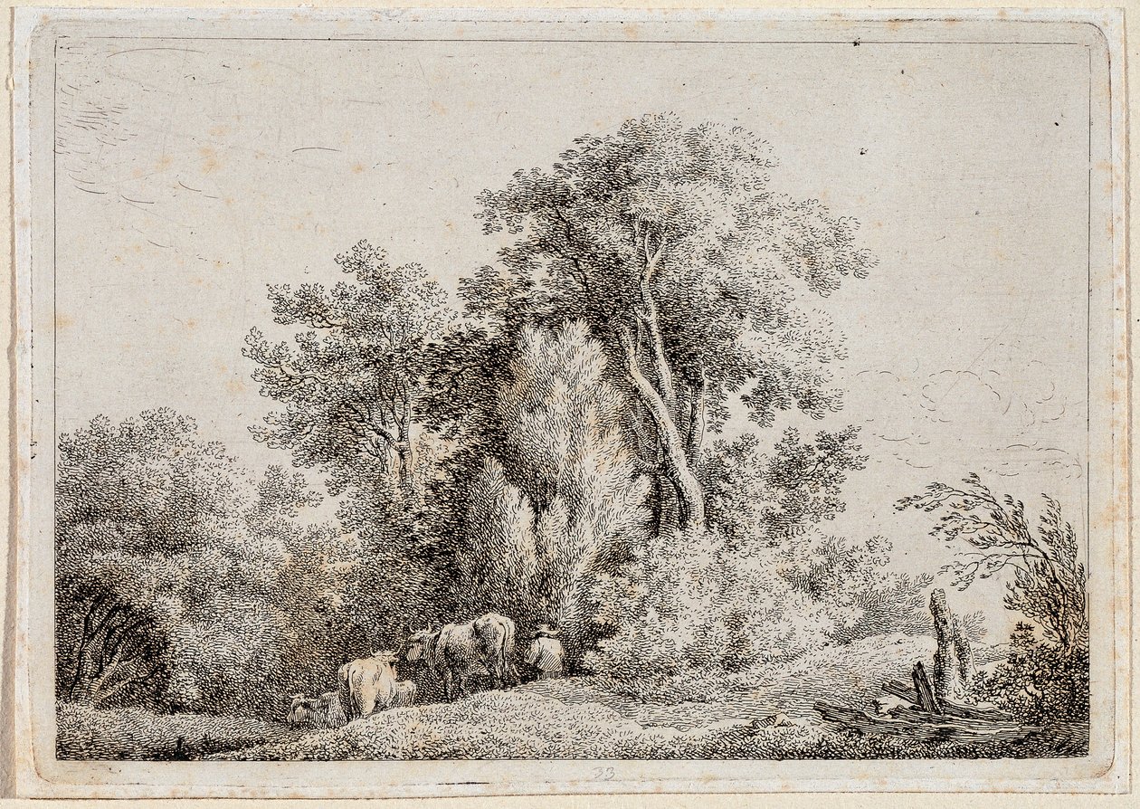 Landschap door Martin von Molitor