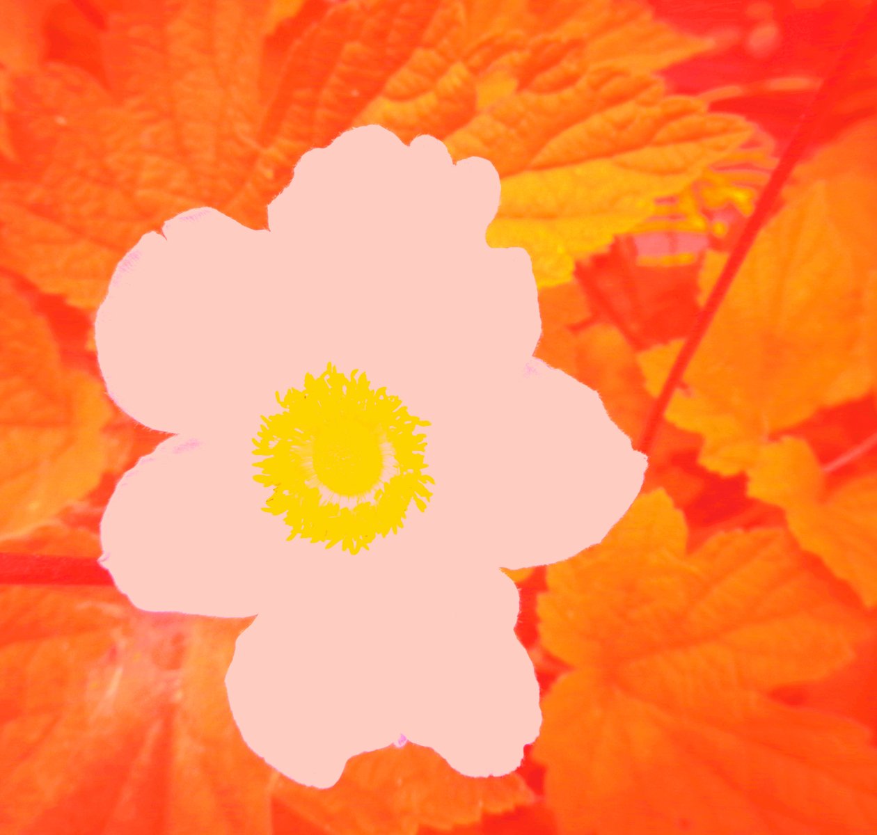 Bloem (Hommage aan Andy Warhol) door Martina Konitzky