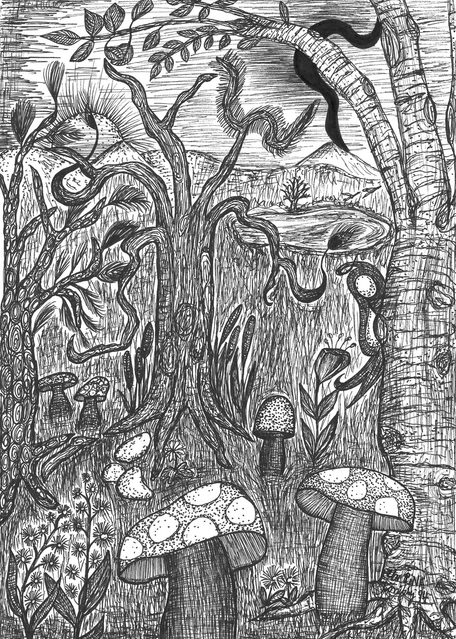Landschap met Paddenstoelen door Martina Konitzky