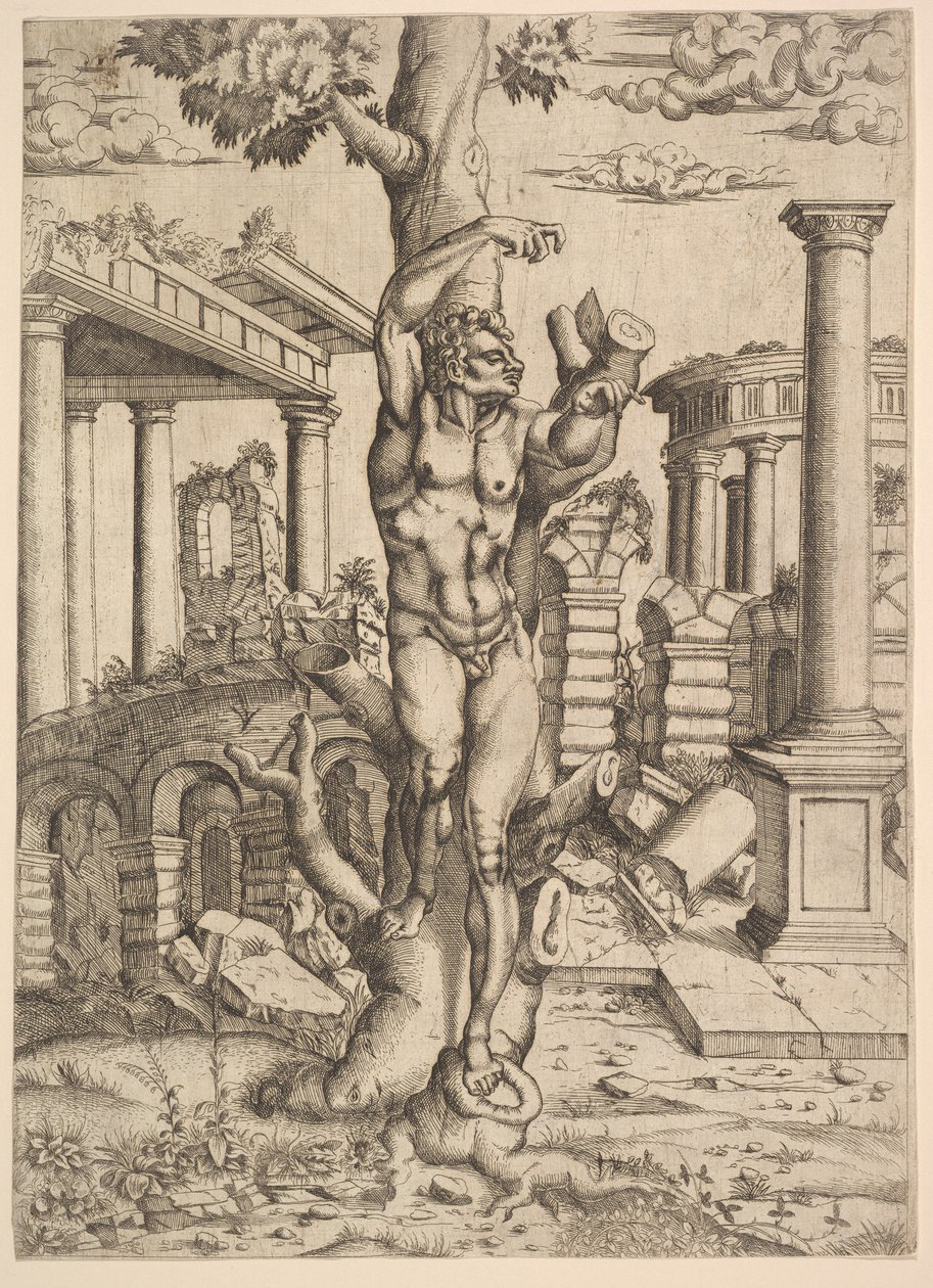 Man Tegen een Boom, ca. 1543-44 door Master IQV