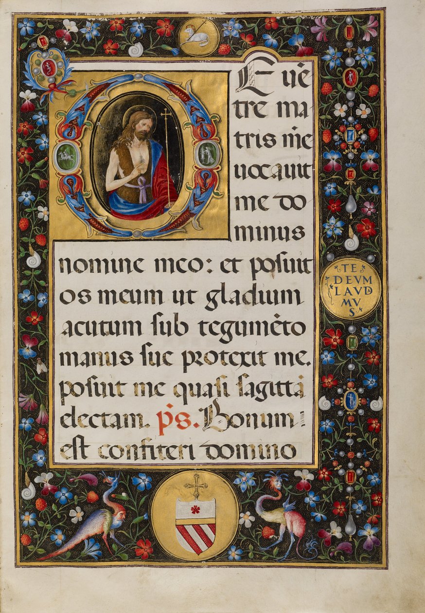 Beginletter D: Sint Johannes de Doper door Matteo da Milano