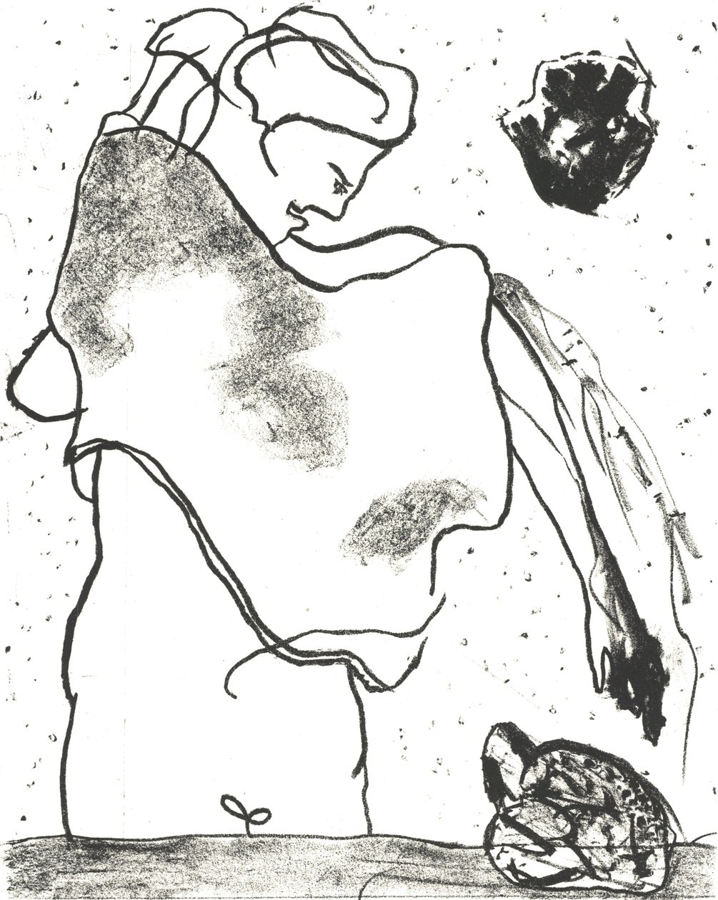 Des Bêtes" Kunstenaarsboek 2, 2018 (litho) door Matthew Hilton