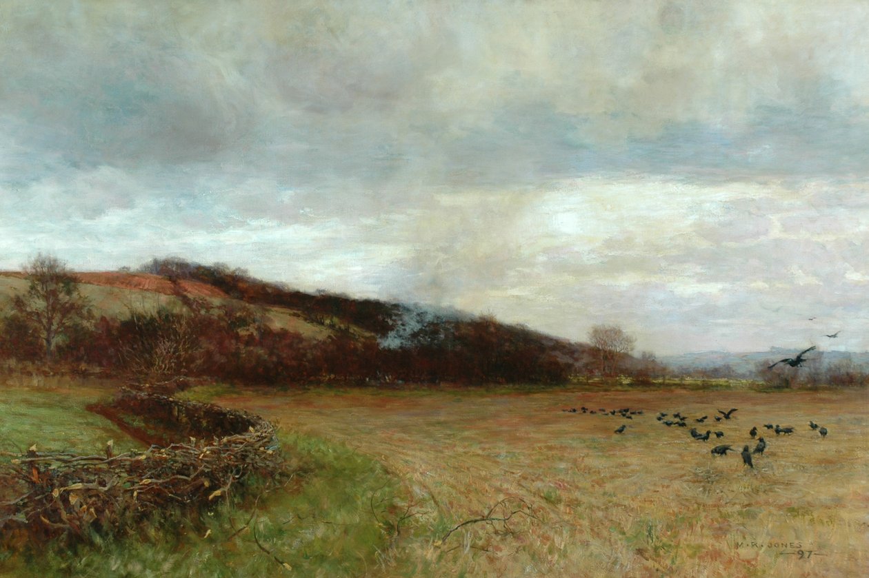 Landschap met vogels door Maud Raphael Jones