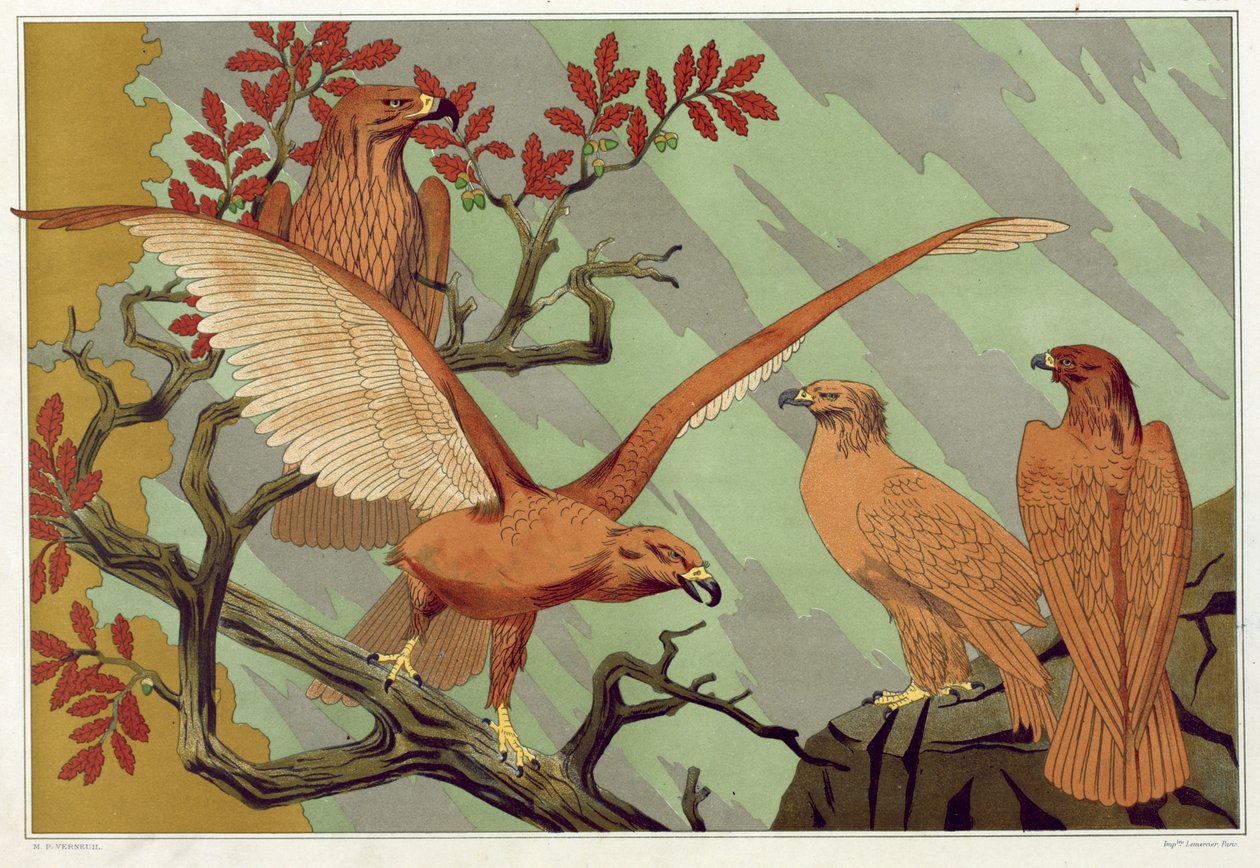 Adelaars, uitgegeven 1897 door Maurice Pillard Verneuil
