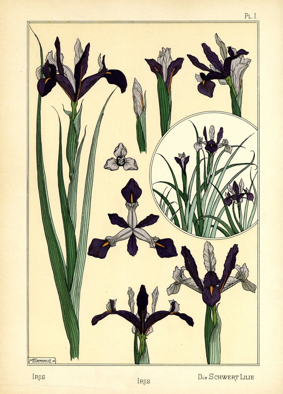 De iris door Maurice Pillard Verneuil