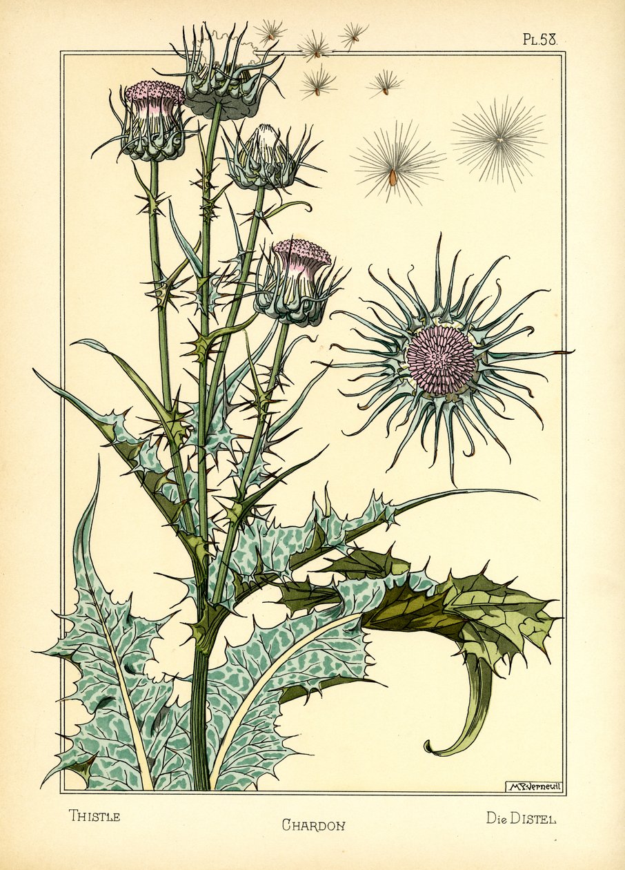 De distel door Maurice Pillard Verneuil