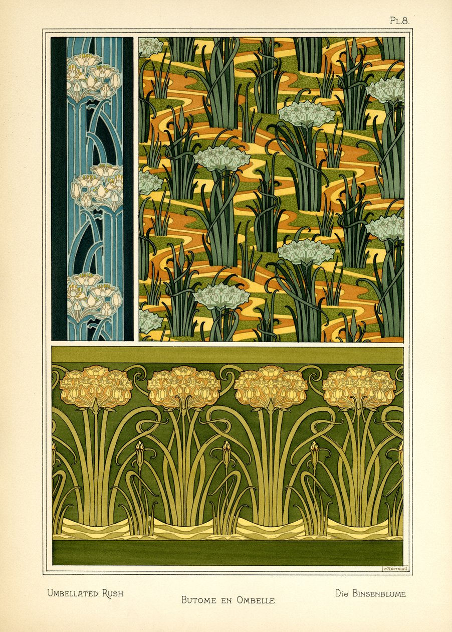 De schermbloemige riet door Maurice Pillard Verneuil