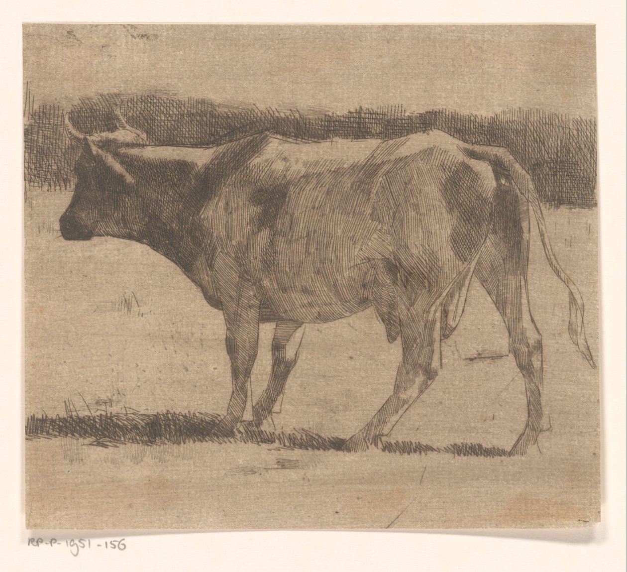 Koe in een weiland door Maurits van der Valk