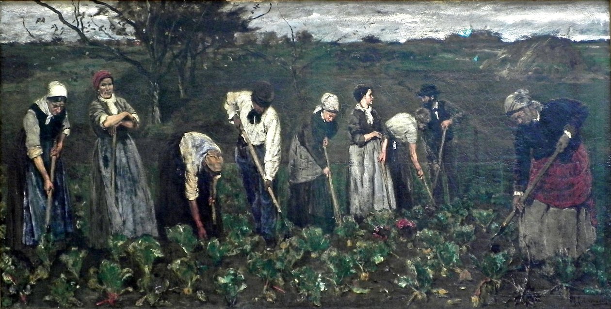 Arbeiders in het bietenveld door Max Liebermann