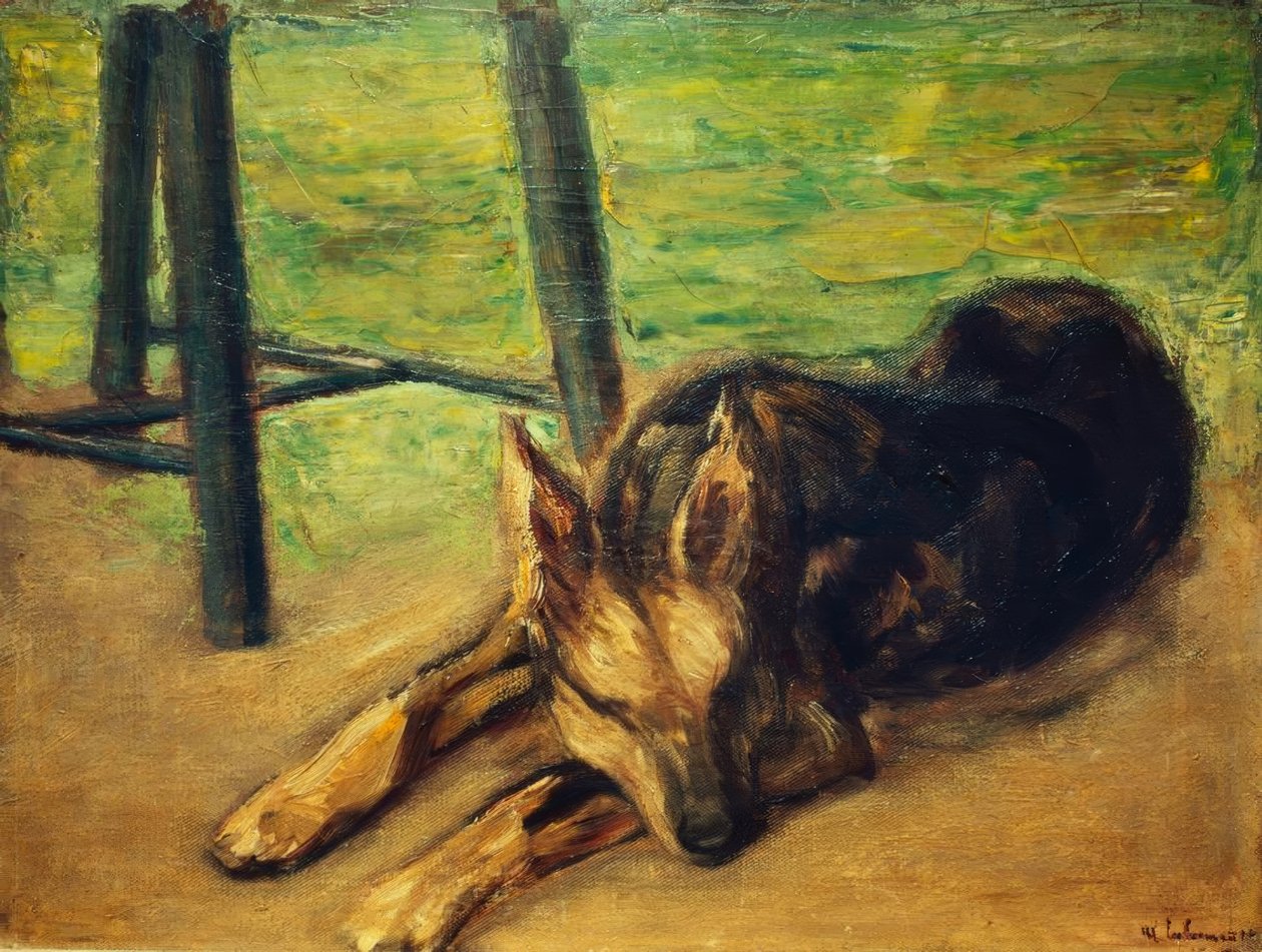 Slapende herdershond door Max Liebermann