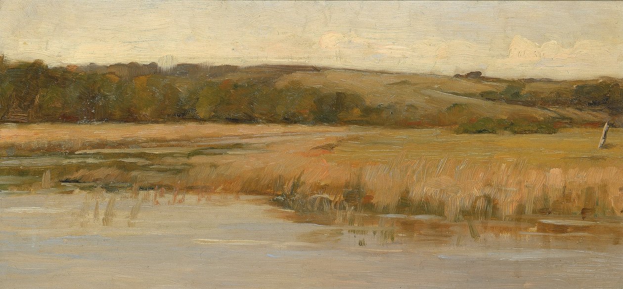 Heuvel en moeras door Max Weyl