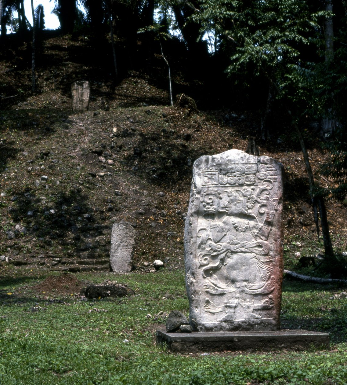 Seibal, Stèle 13, Ultieme Klassieke Periode door Mayan