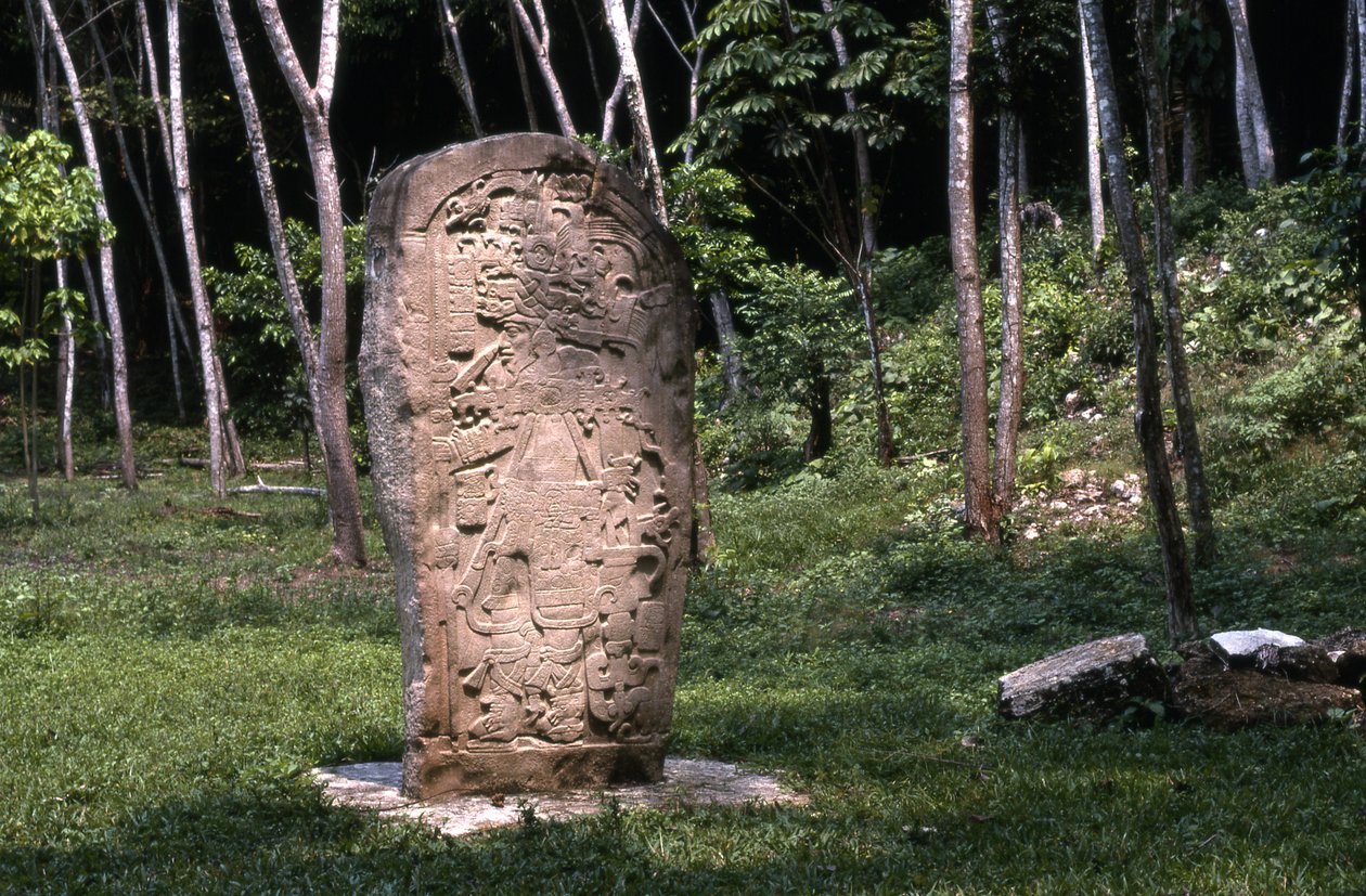 Stela 1, Terminal Classic periode (830-930 AD) door Mayan