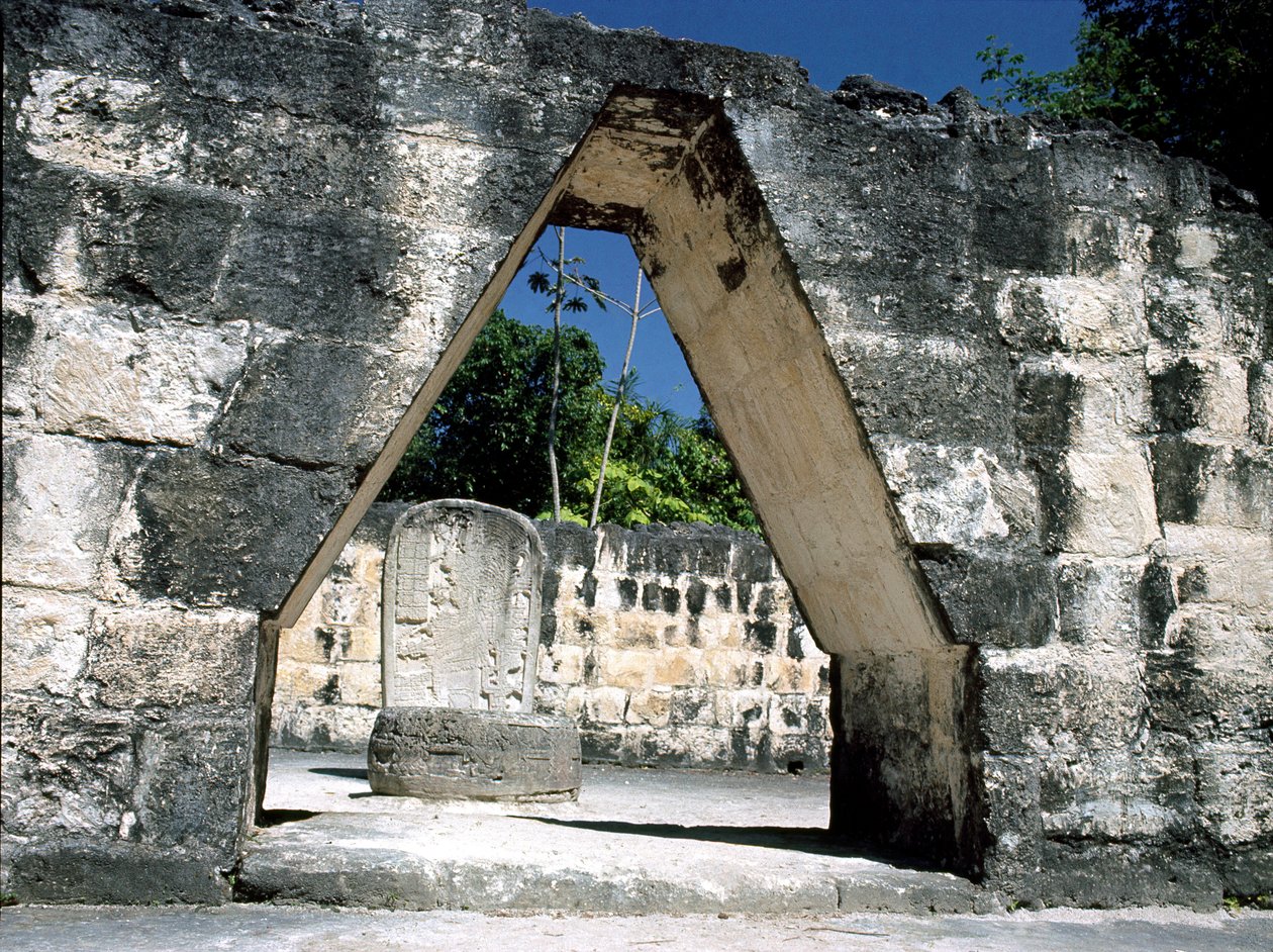 Kraagboog door Mayan