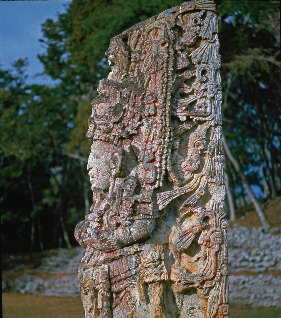 Stèle H, Plaza de Ceremonias, 731 AD door Mayan