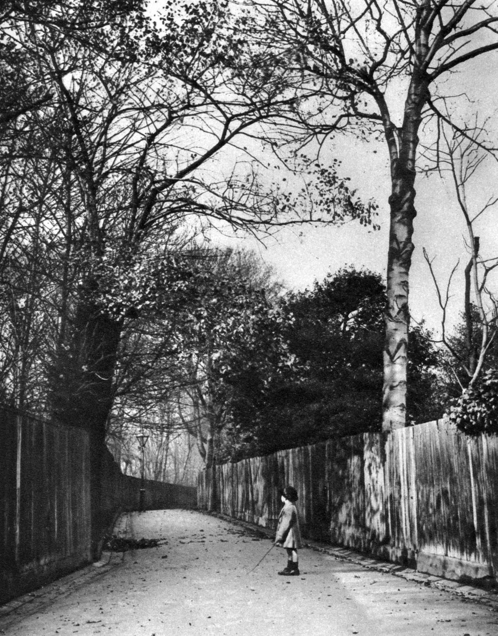 Herfsttijd in Holland Walk, Londen, 1926-1927 door McLeish