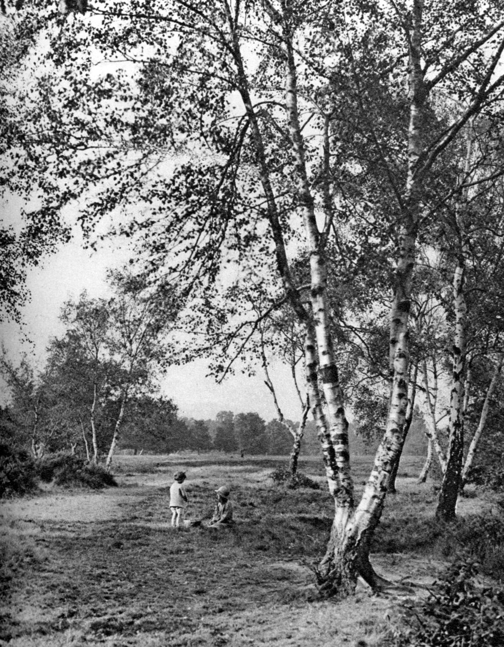 Putney Heath, Londen, 1926-1927 door McLeish