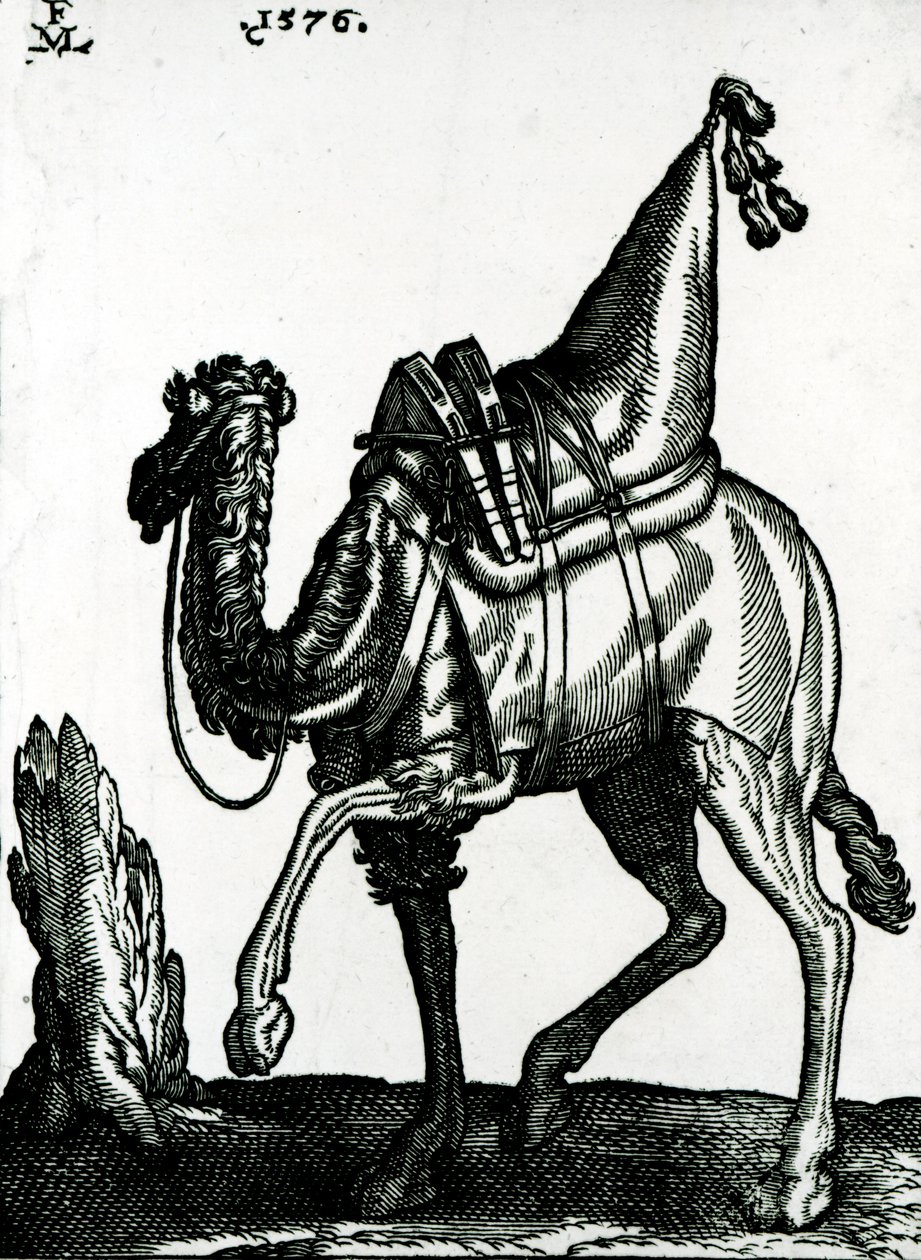 Kameel (houtsnede) door Melchior Lorck