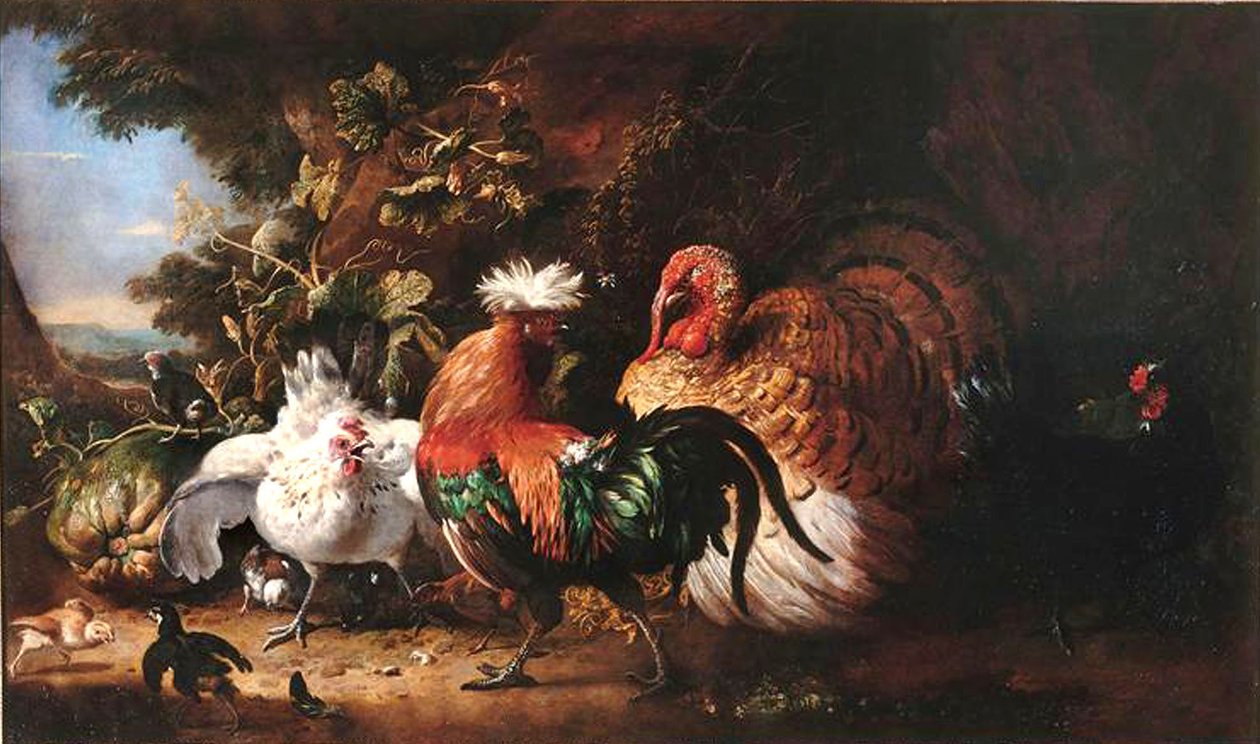 Frans: Oiseaux de basse-cour door Melchior d