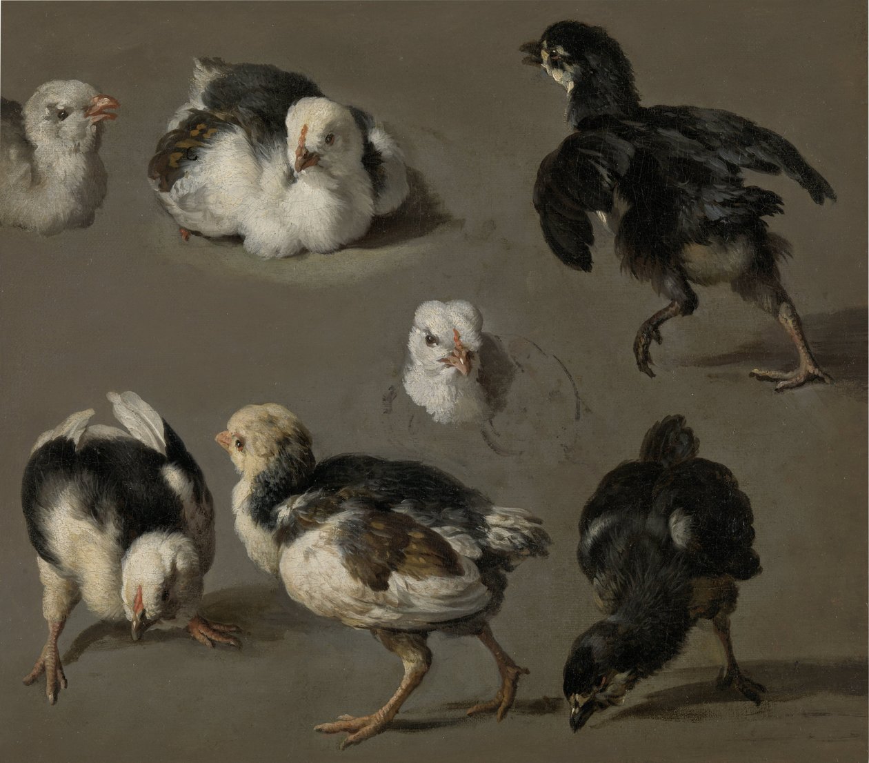 Zeven kuikens door Melchior d