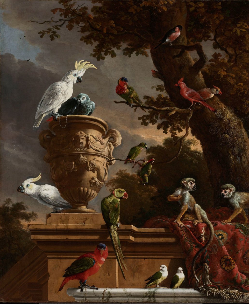 De Menagerie door Melchior d