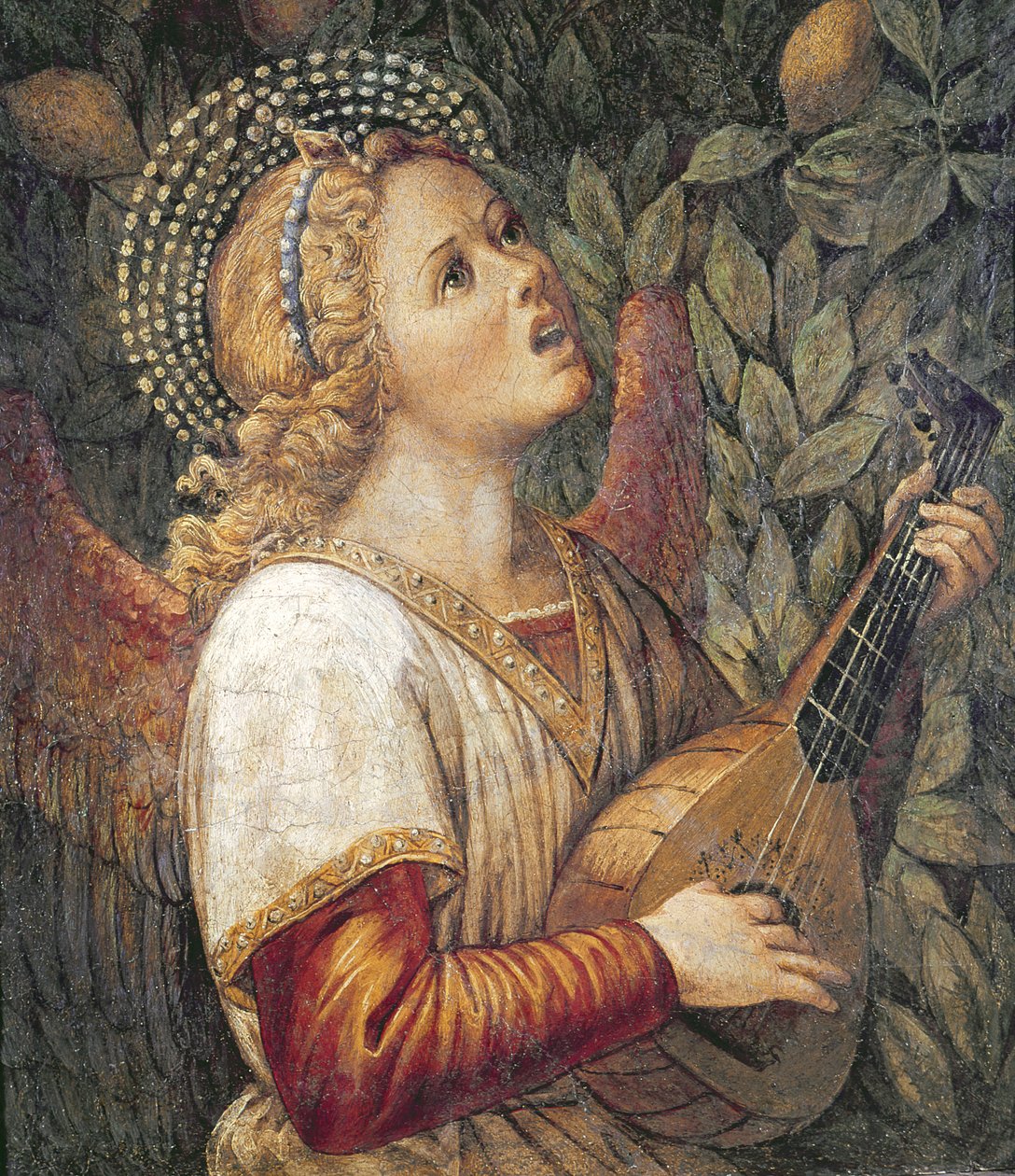 Engel Muzikant door Melozzo da Forli