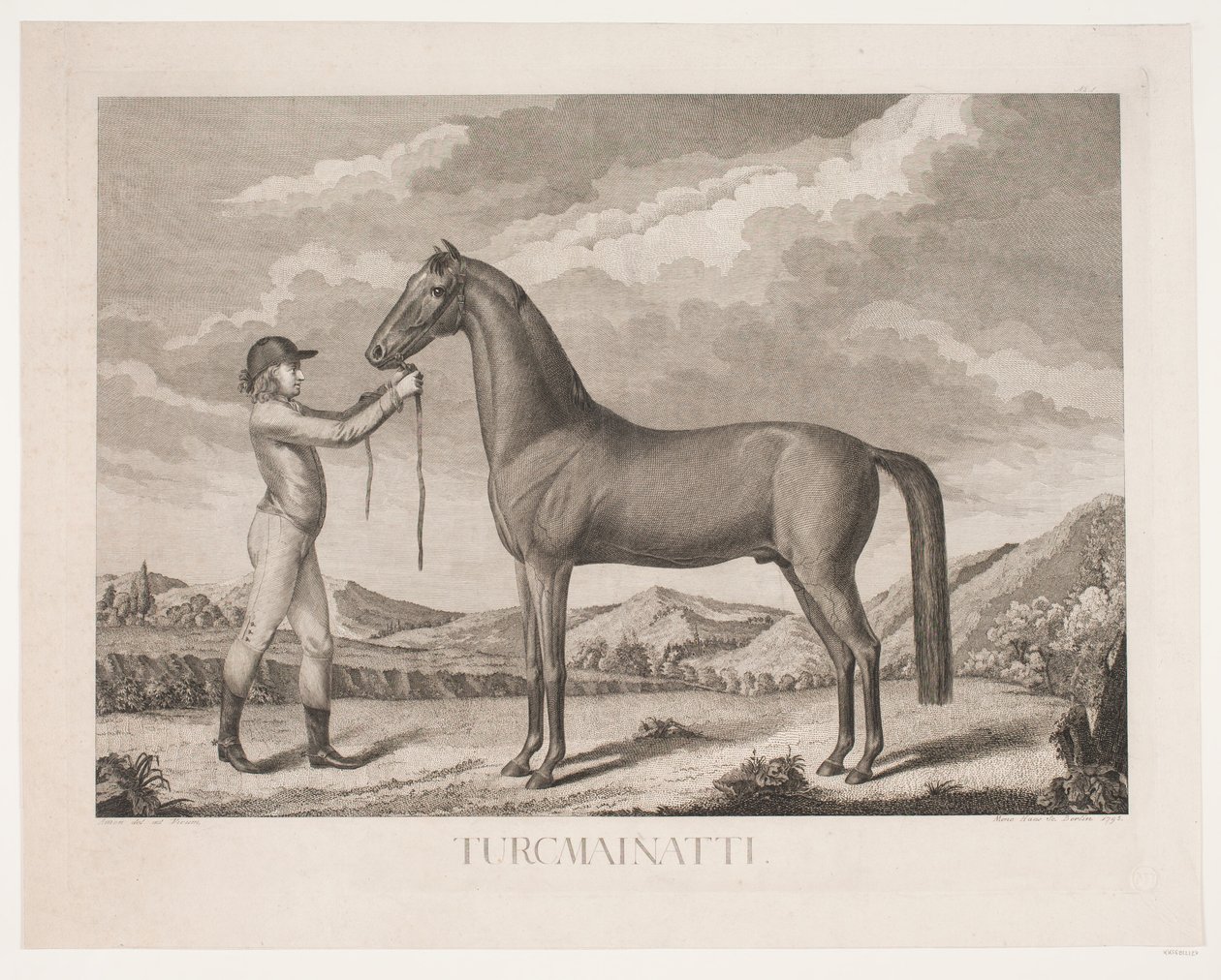 Het paard 