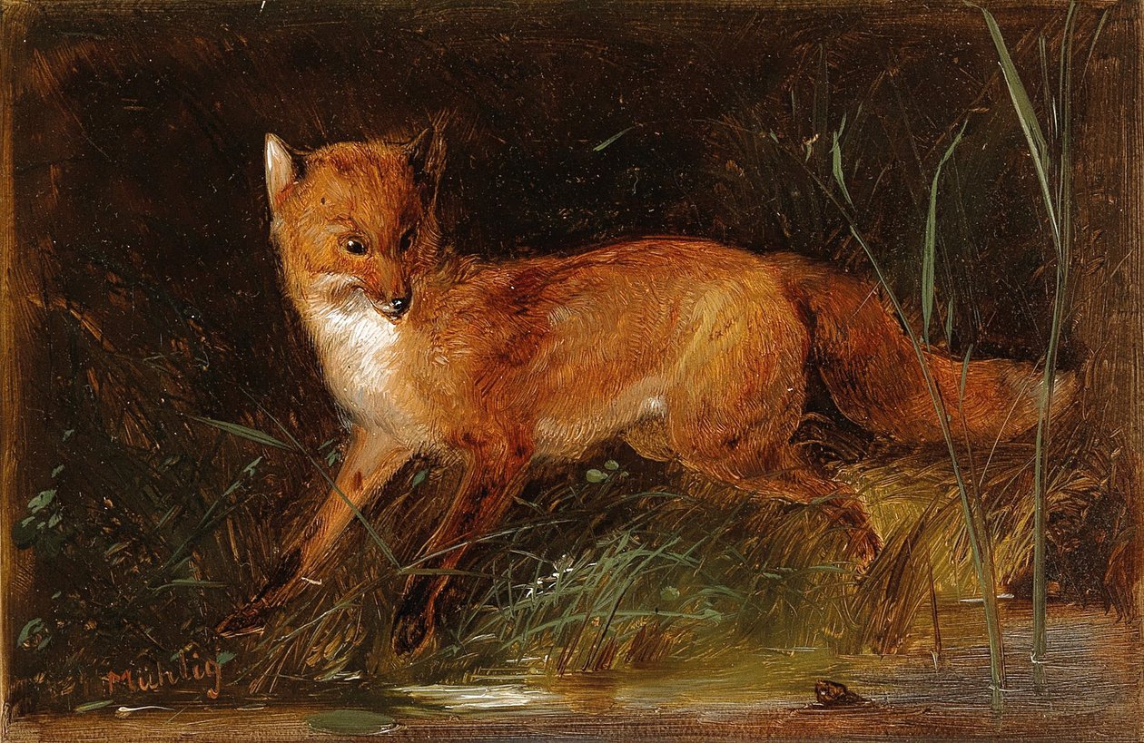 Meno Mühlig Fuchs door Meno Muhlig